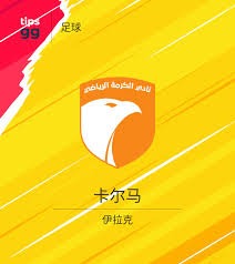 深入解析美加墨世界杯盛况